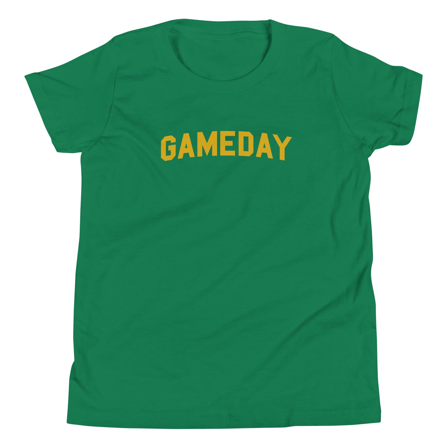 Fighting Irish Game Day