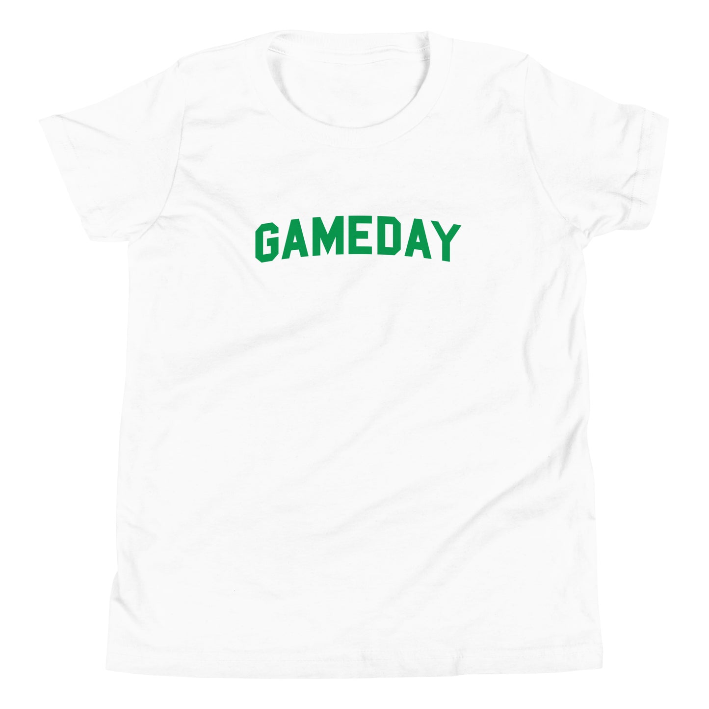 Fighting Irish Game Day