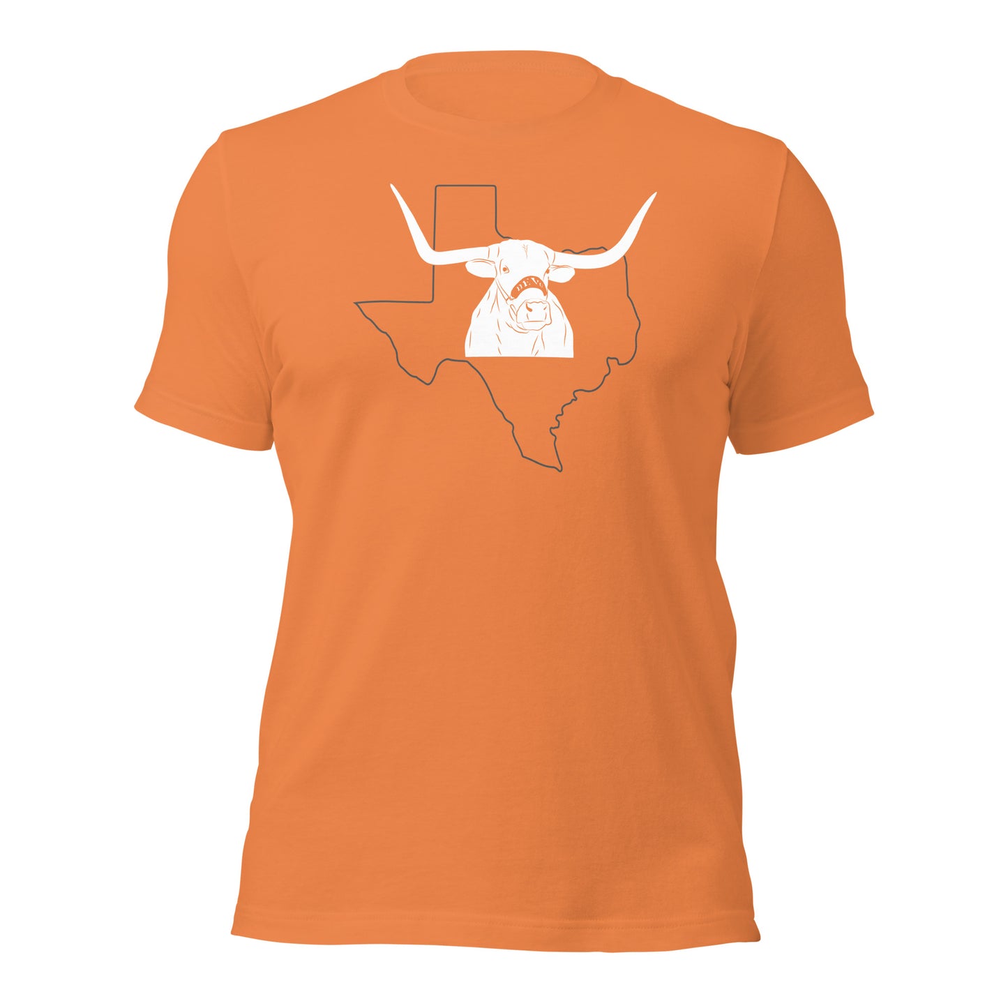 Bevo the Texas Longhorn